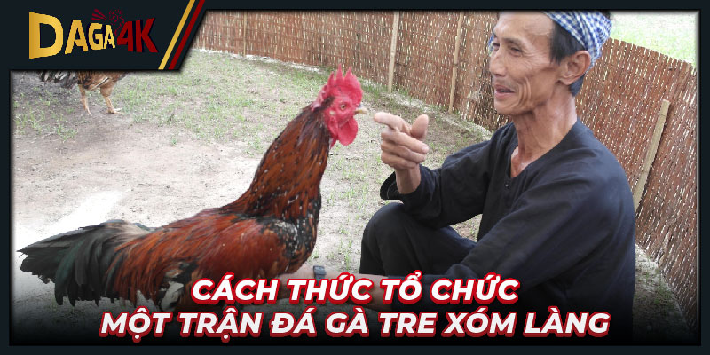 Cách thức tổ chức một trận đá gà tre xóm làng