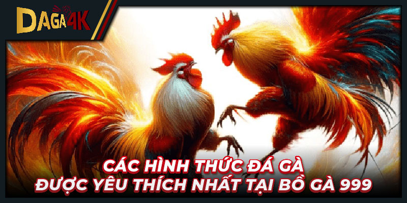 Các hình thức đá gà được yêu thích nhất tại bồ gà 999