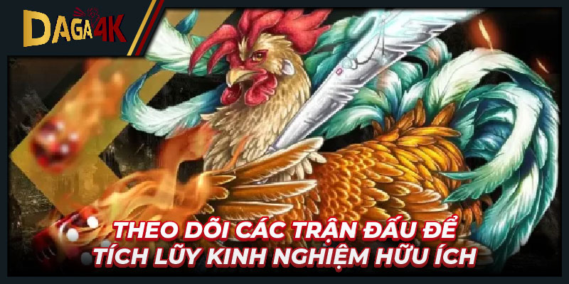 Theo dõi các trận đấu để tích lũy kinh nghiệm hữu ích