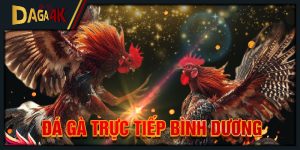 đá gà trực tiếp bình dương