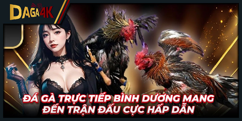 Đá gà trực tiếp Bình Dương mang đến trận đấu cực hấp dẫn