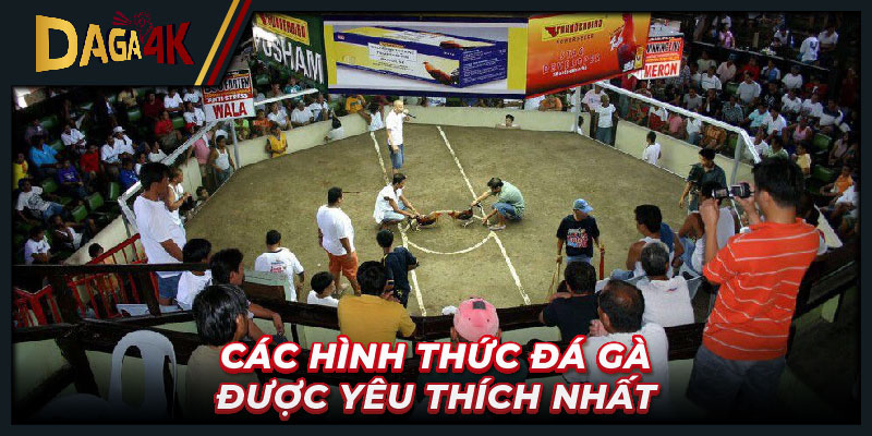 Một vài hình thức đá gà Bình Dương được yêu thích nhất