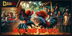 đá gà trực tiếp cpc4