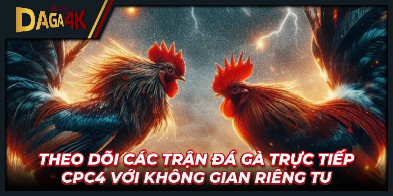 Theo dõi các trận đá gà trực tiếp CPC4 với không gian riêng tư