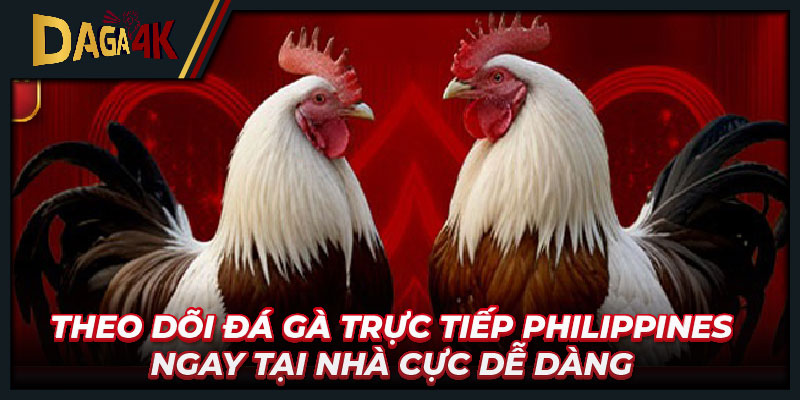 Theo dõi đá gà trực tiếp Philippines ngay tại nhà cực dễ dàng