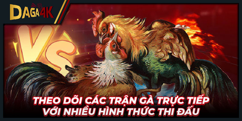 Theo dõi các trận gà trực tiếp với nhiều hình thức thi đấu