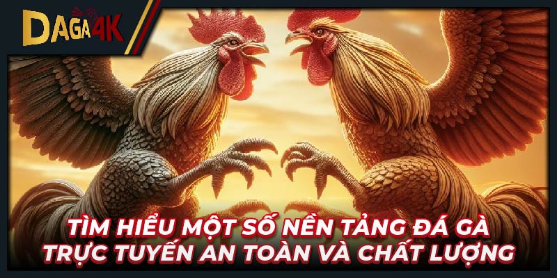 Tìm hiểu một số nền tảng đá gà trực tuyến an toàn và chất lượng