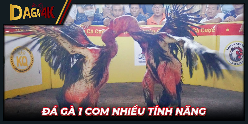 Đá gà 1 com nhiều tính năng