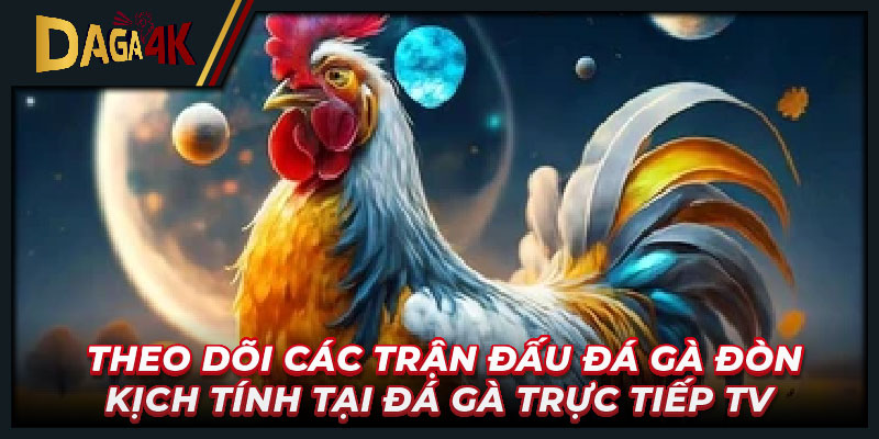 Theo dõi các trận đấu đá gà đòn kịch tính tại Đá gà trực tiếp TV