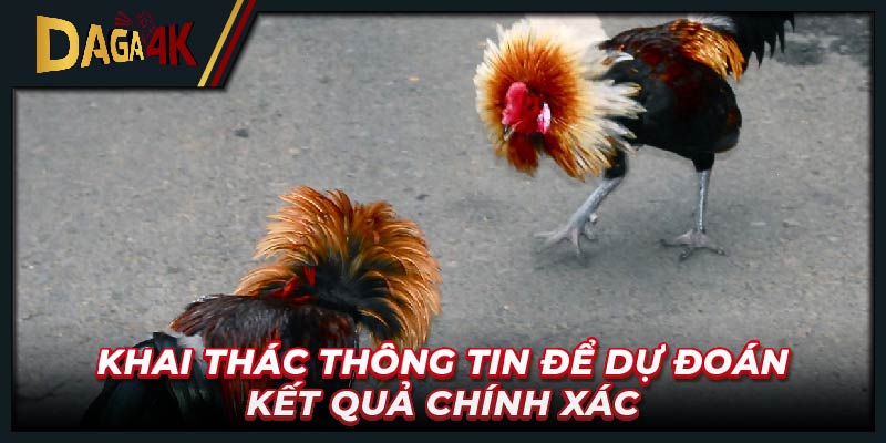 Khai thác thông tin để dự đoán kết quả chính xác