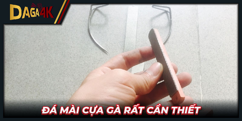 Đá mài cựa gà rất cần thiết