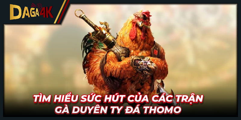 Tìm hiểu sức hút của các trận gà Duyên Ty đá Thomo