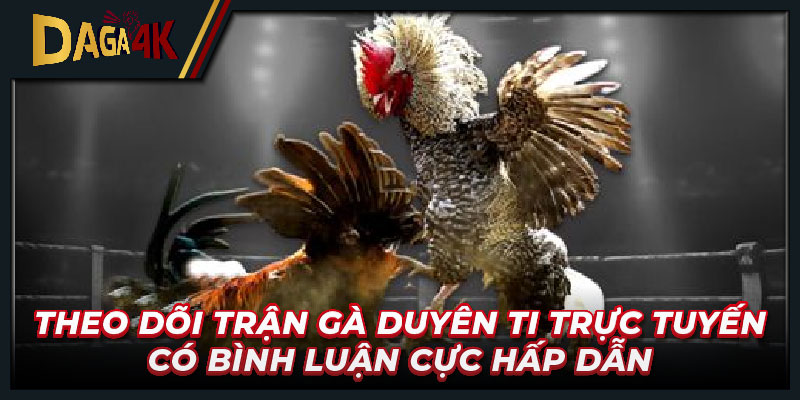 Theo dõi trận gà Duyên Ti trực tuyến có bình luận cực hấp dẫn