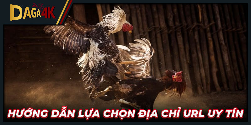 Hướng dẫn lựa chọn địa chỉ URL uy tín