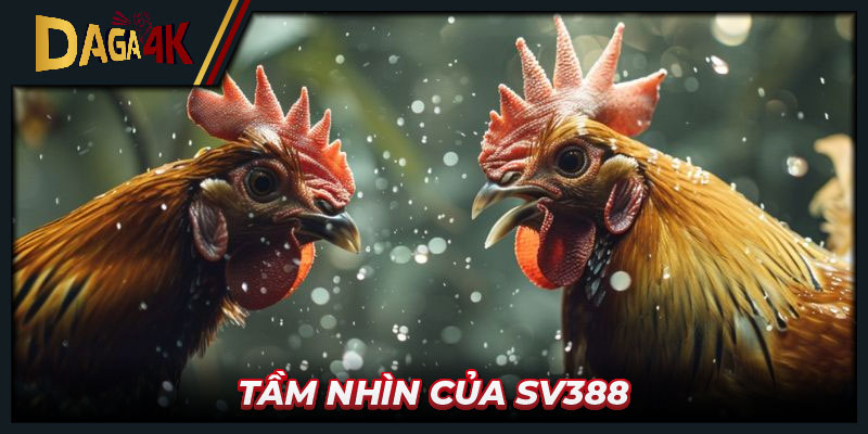 Tầm nhìn của Sv388