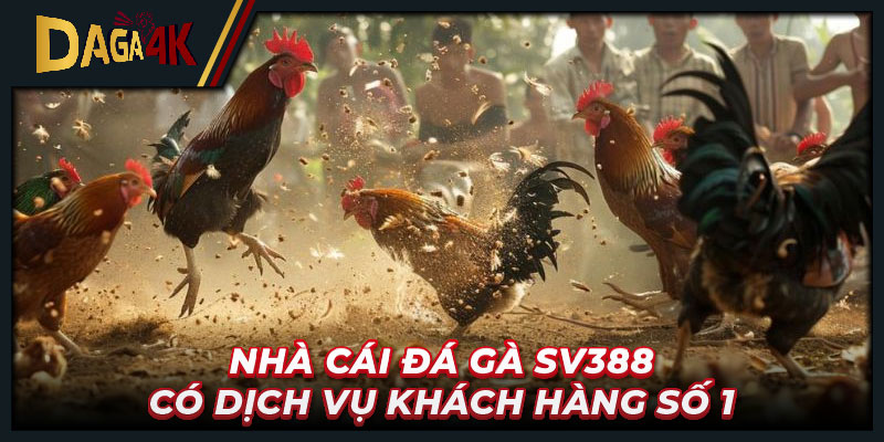 Nhà cái đá gà SV388 có dịch vụ khách hàng số 1