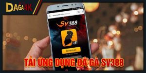 tải ứng dụng đá gà sv388