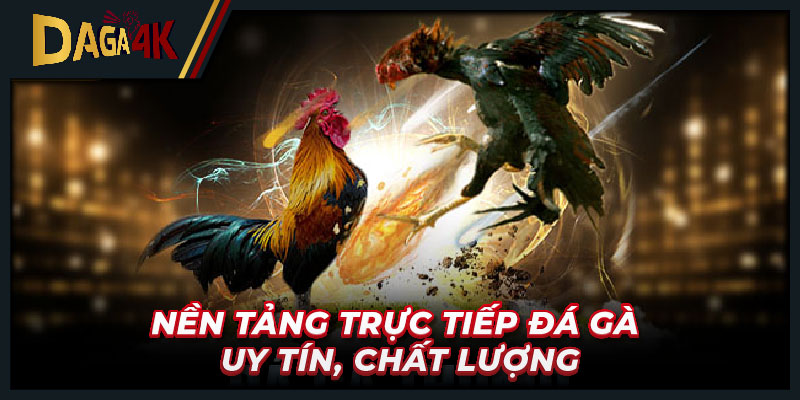 Nền tảng trực tiếp đá gà uy tín, chất lượng