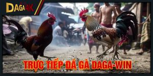 trực tiếp đá gà daga-win