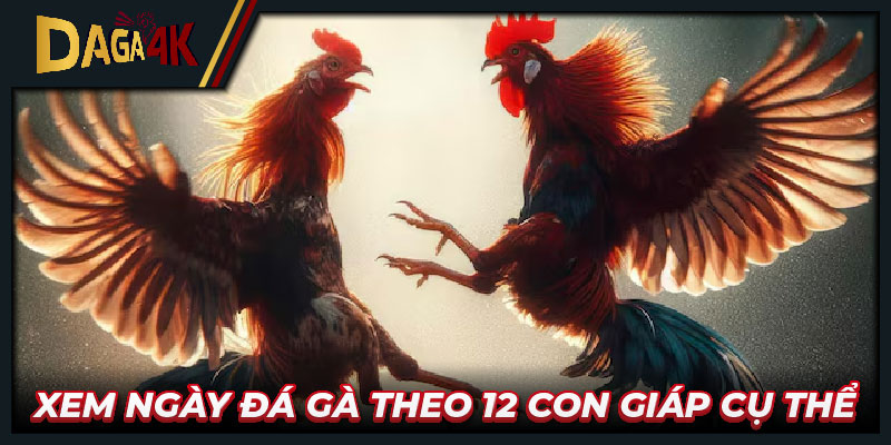 Xem ngày đá gà theo 12 con giáp cụ thể