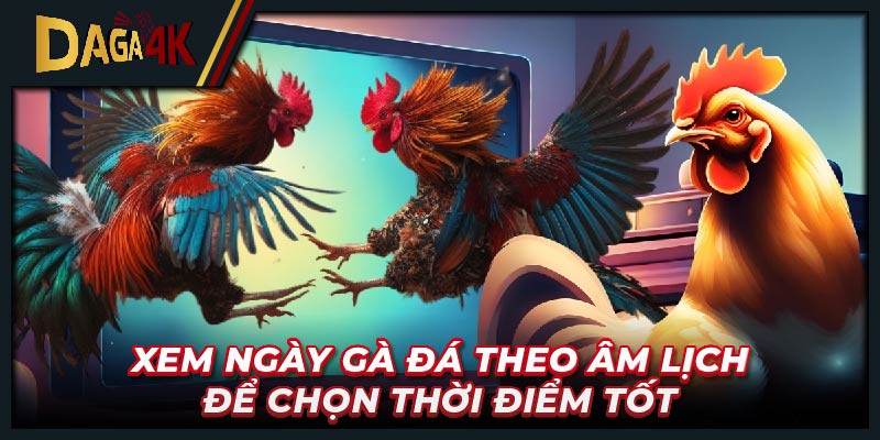 Xem ngày gà đá theo âm lịch để chọn thời điểm tốt